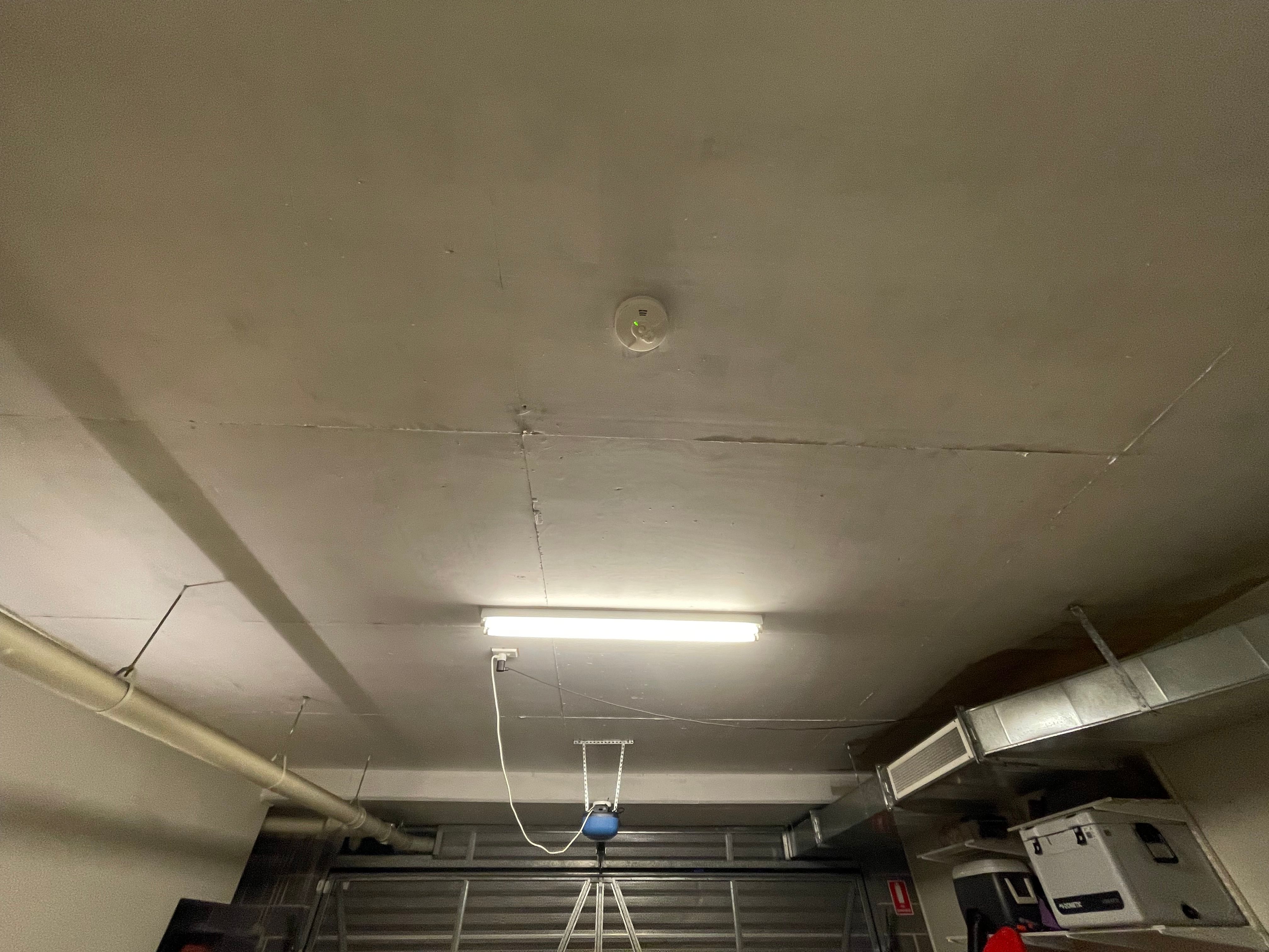 How To Paint Bare Concrete Ceiling In A ... | Bunnings Workshop Community