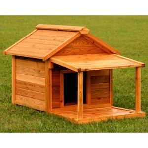 dog-house.jpg