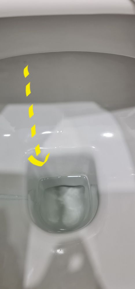 mucus plug in toilet