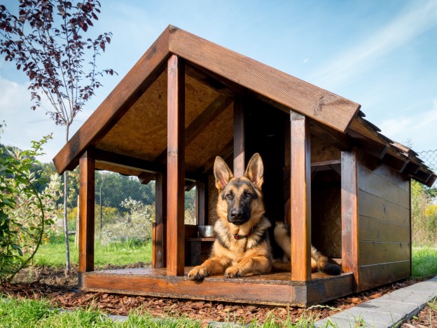 large dog house bunnings
