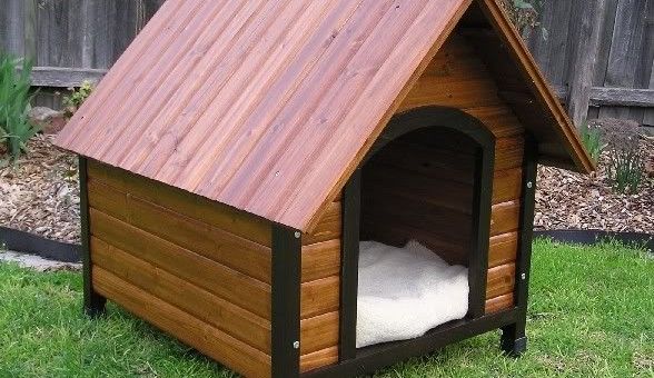large dog house bunnings