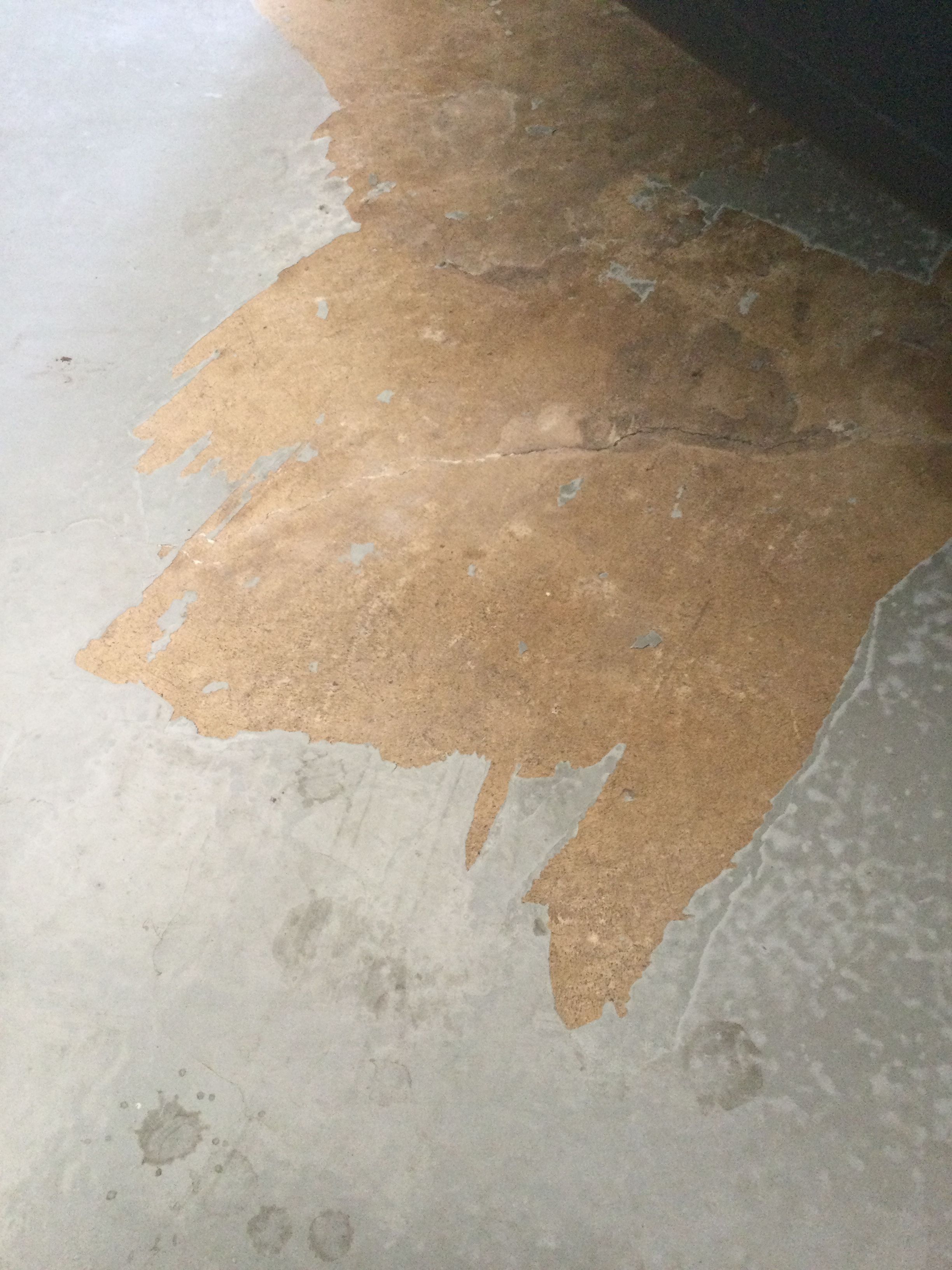 Solved: How to repaint my carport floor? | Bunnings Workshop community