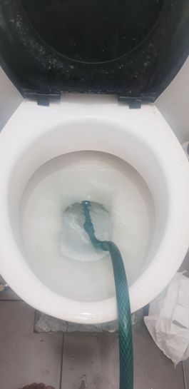 Toilet deals snake bunnings