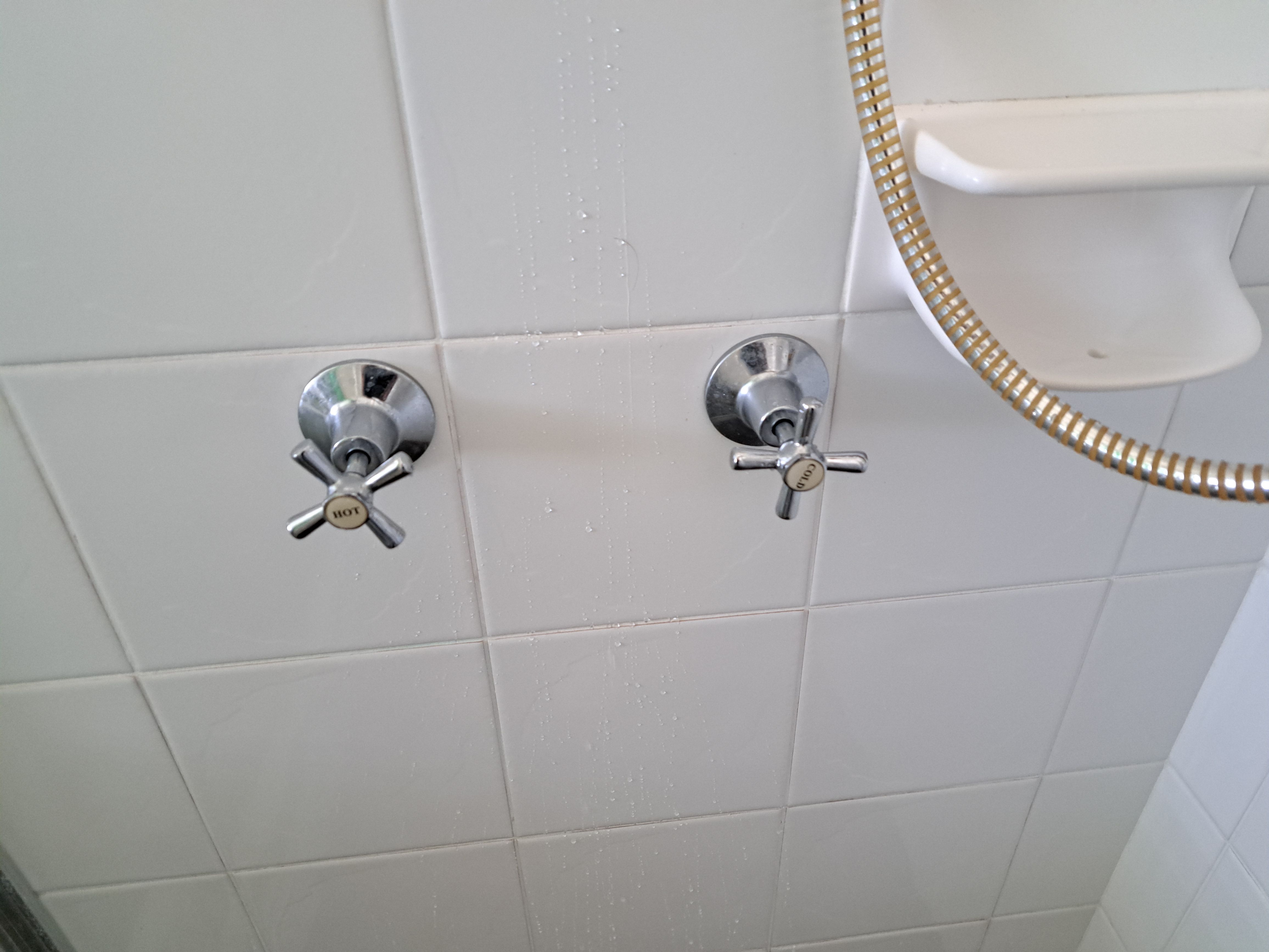 How To Fix A Leaking Shower Head Bunnings Workshop Community   83287i74873223F2F8D559