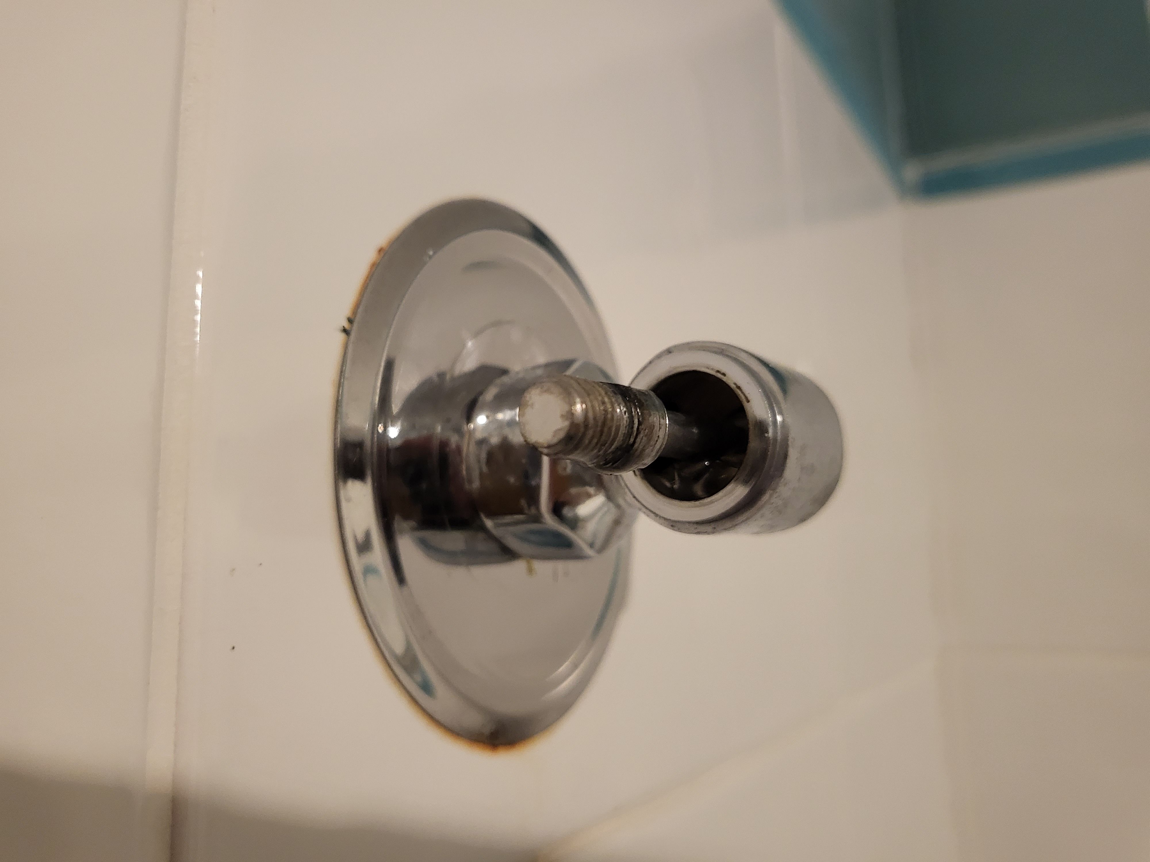 Which shower head to install? Bunnings community