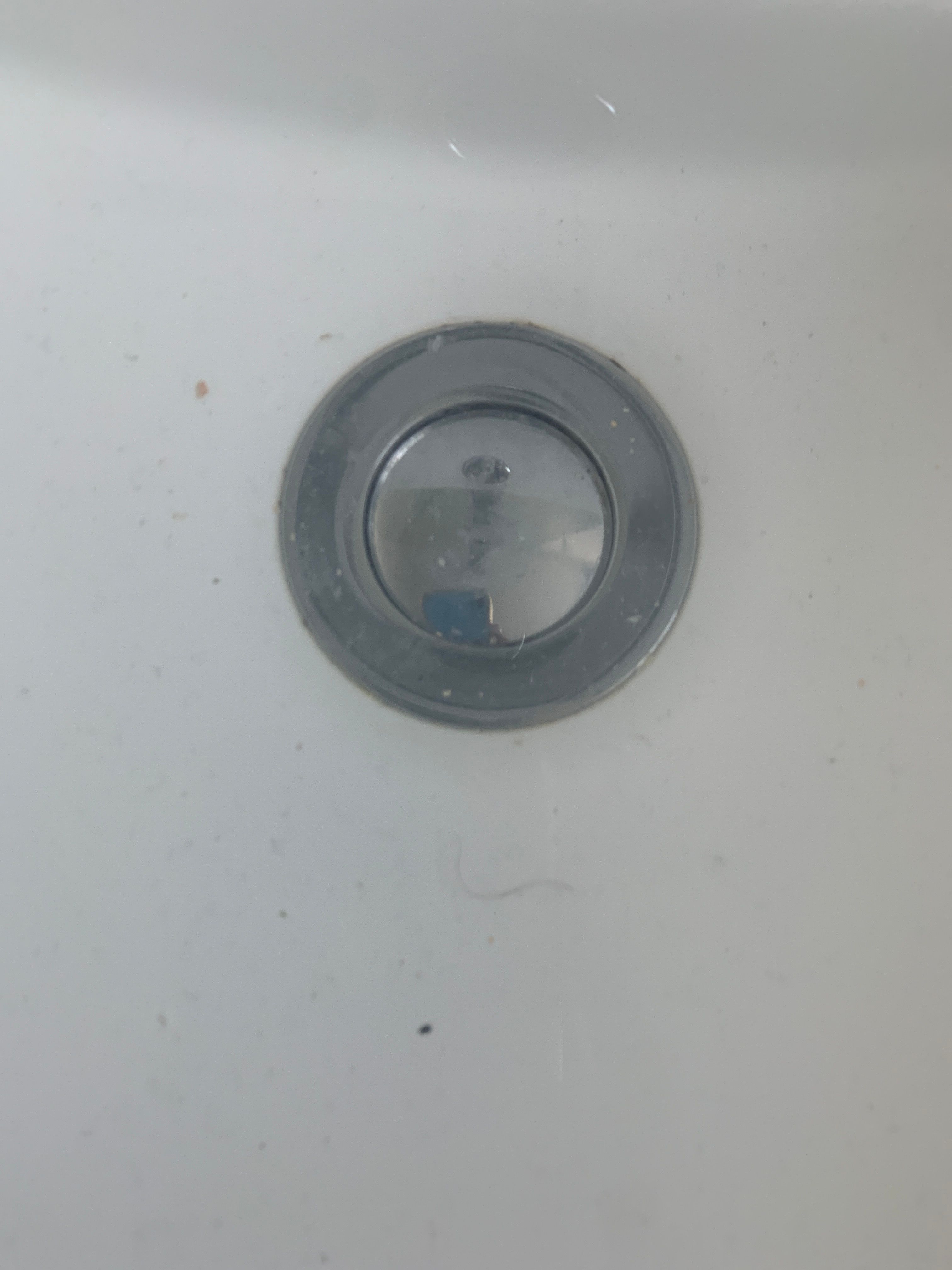 How to unblock my Caroma sink plug? | Bunnings Workshop community