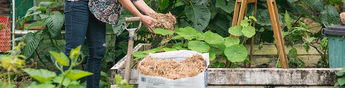 Organic Garden.jpg