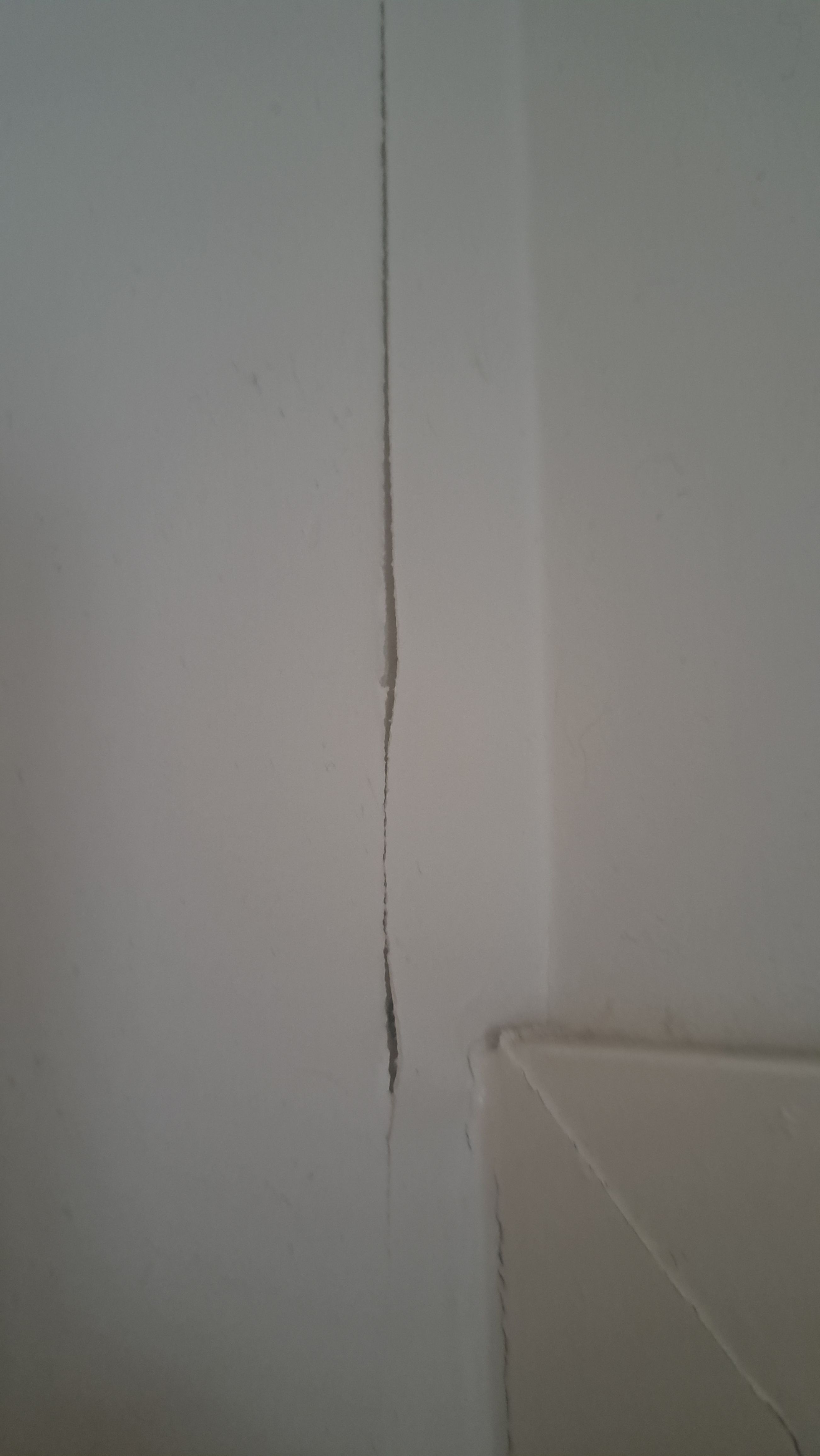 How to fix loose plaster coat in bathroo... | Bunnings Workshop community