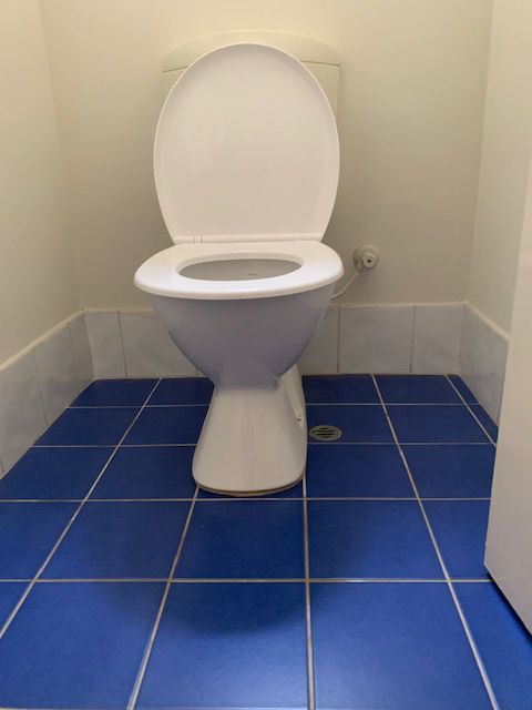 Existing toilet