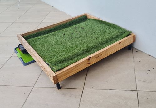 Diy grass dog potty hotsell