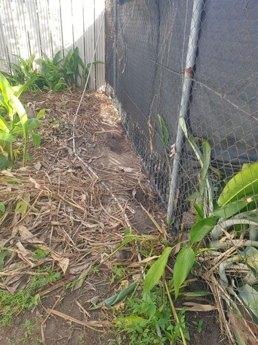 Invisible dog fence outlet bunnings