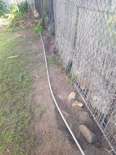 Stop dog from 2024 digging under fence