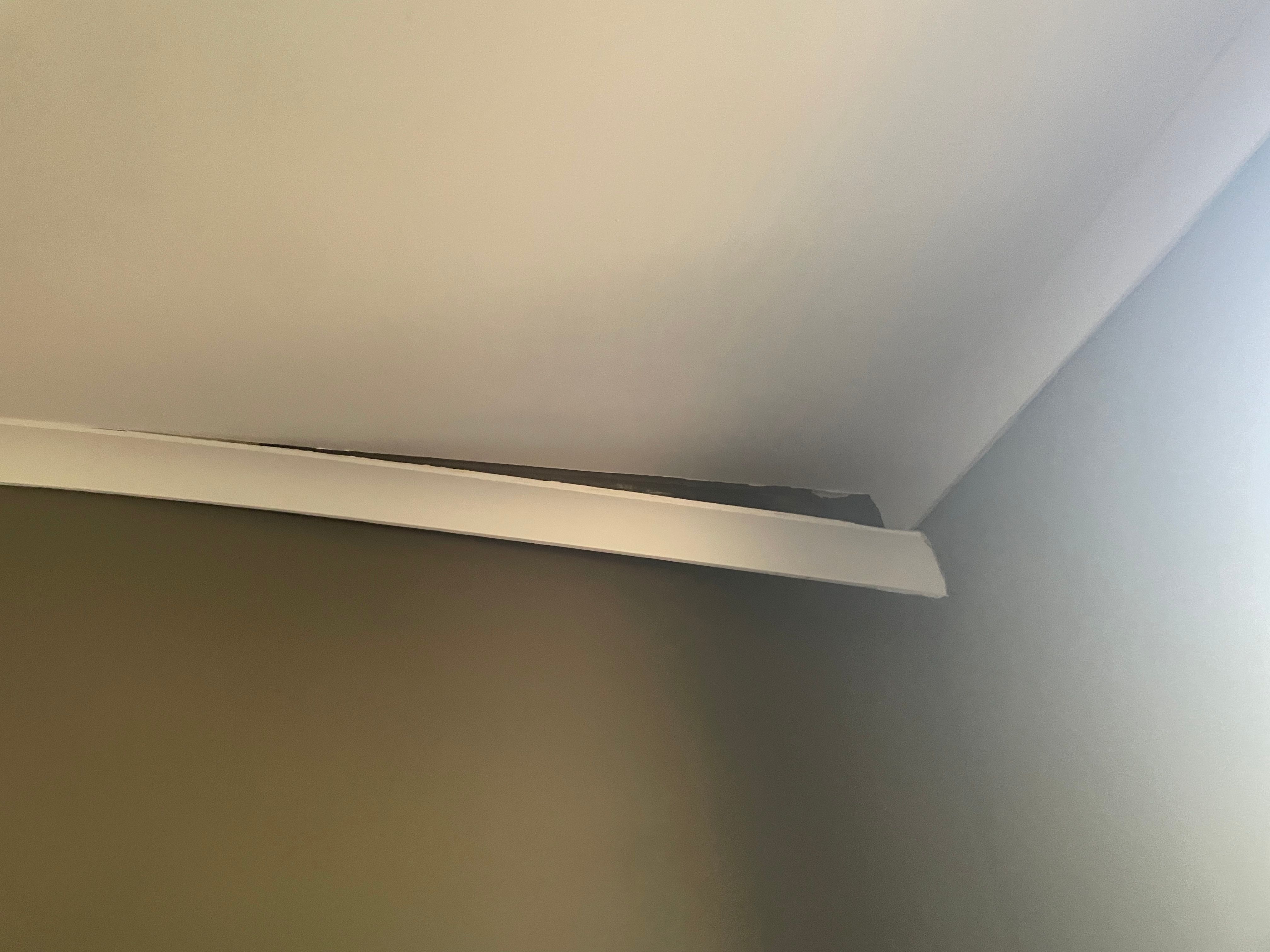 solved-how-to-fix-damaged-cornice-bunnings-workshop-community