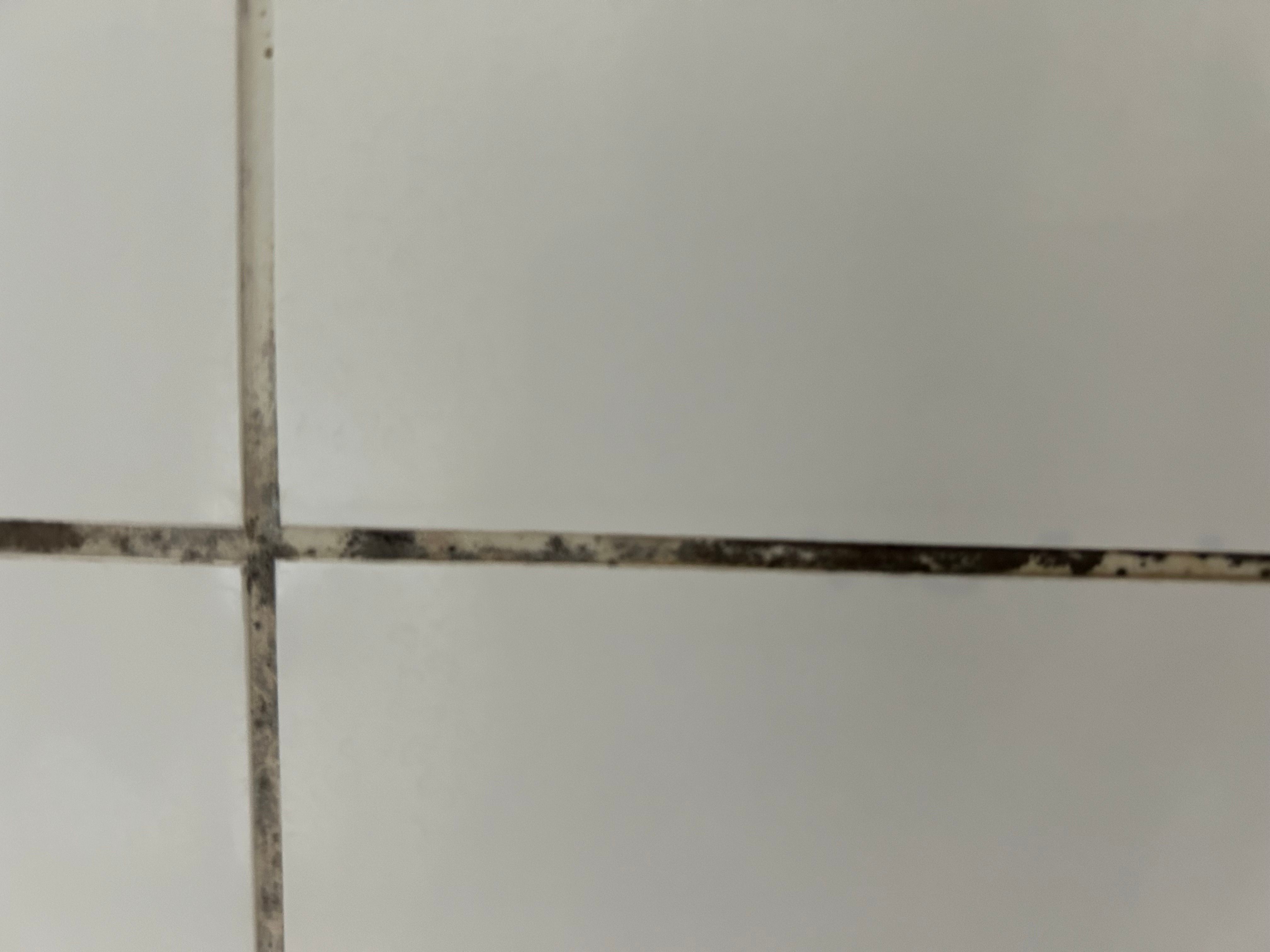 How To Get Rid Of Mould In Bathroom Grout