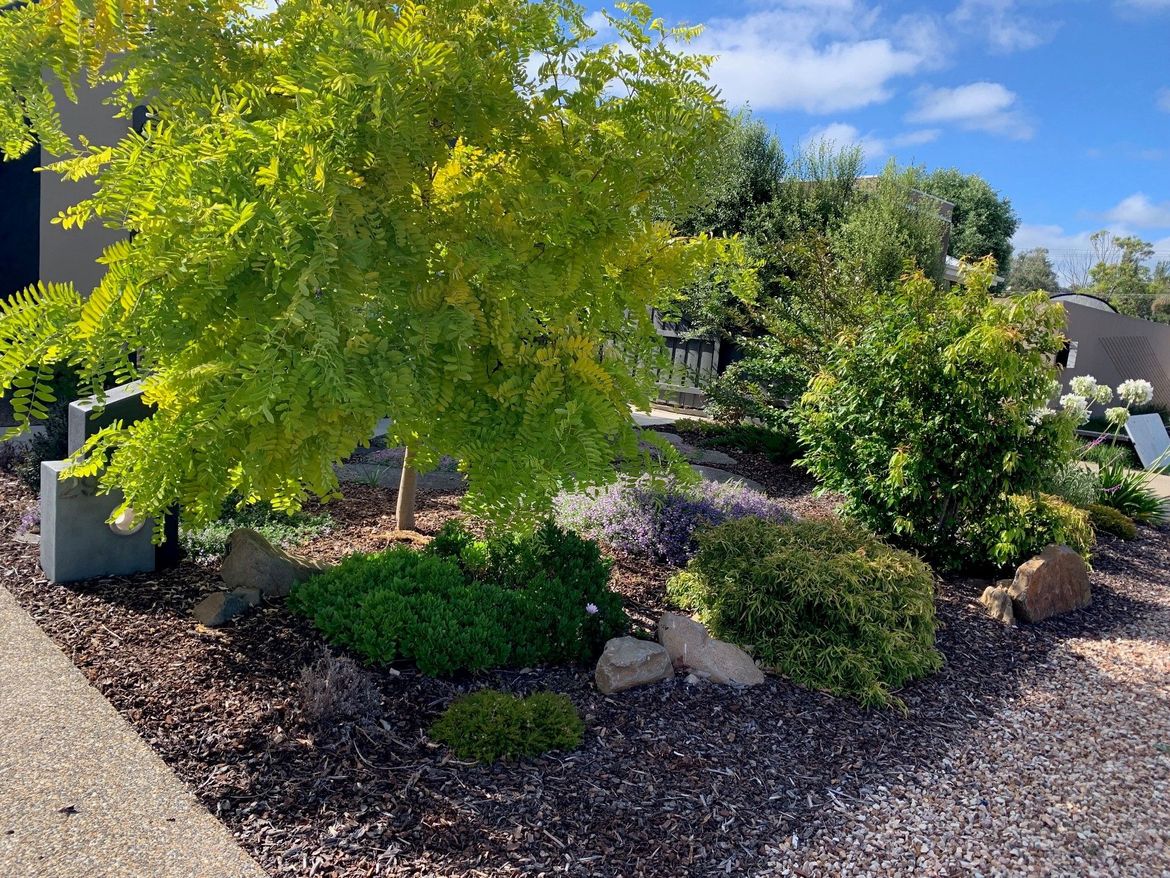 West facing front garden