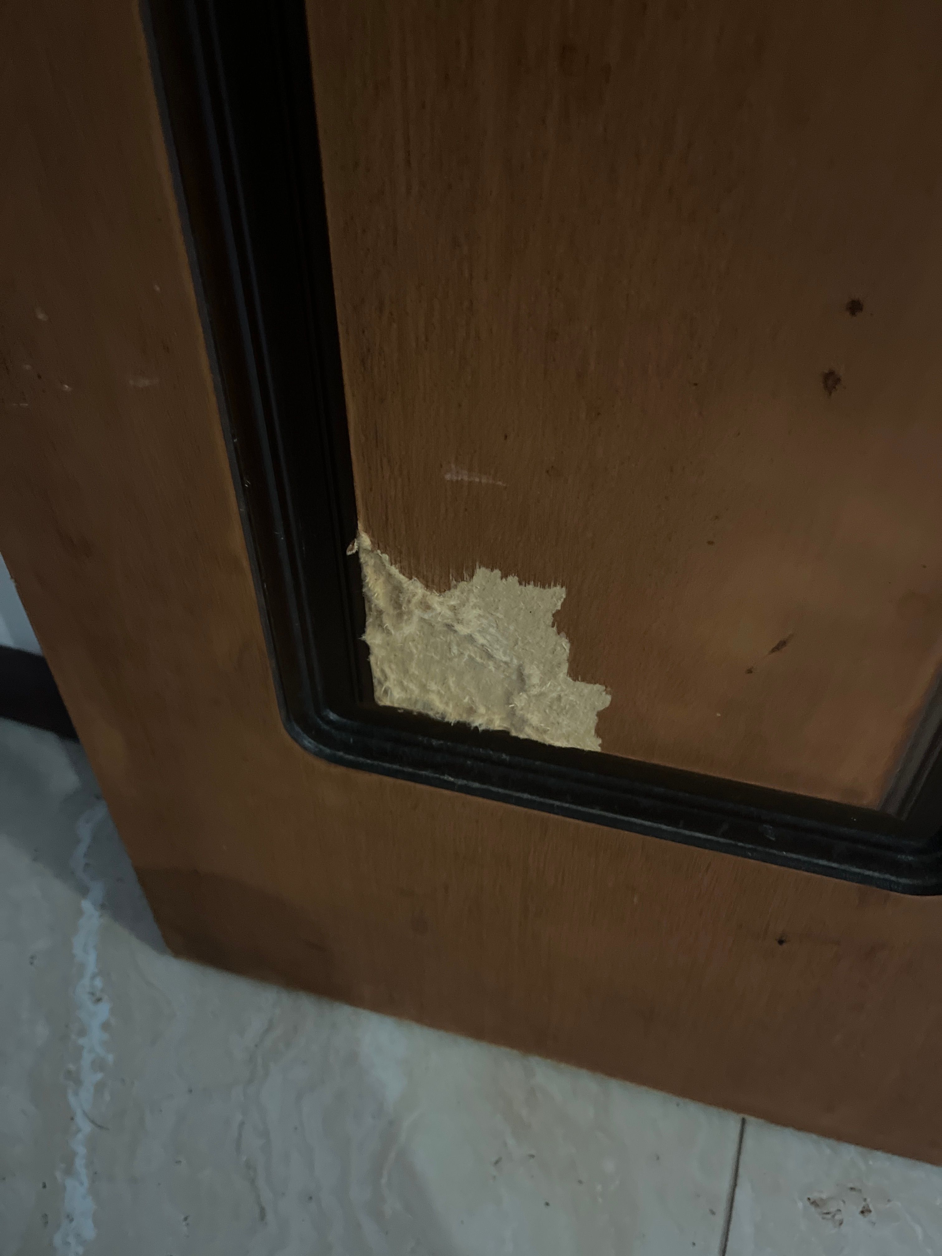 How to repair interior door damage? | Bunnings Workshop community