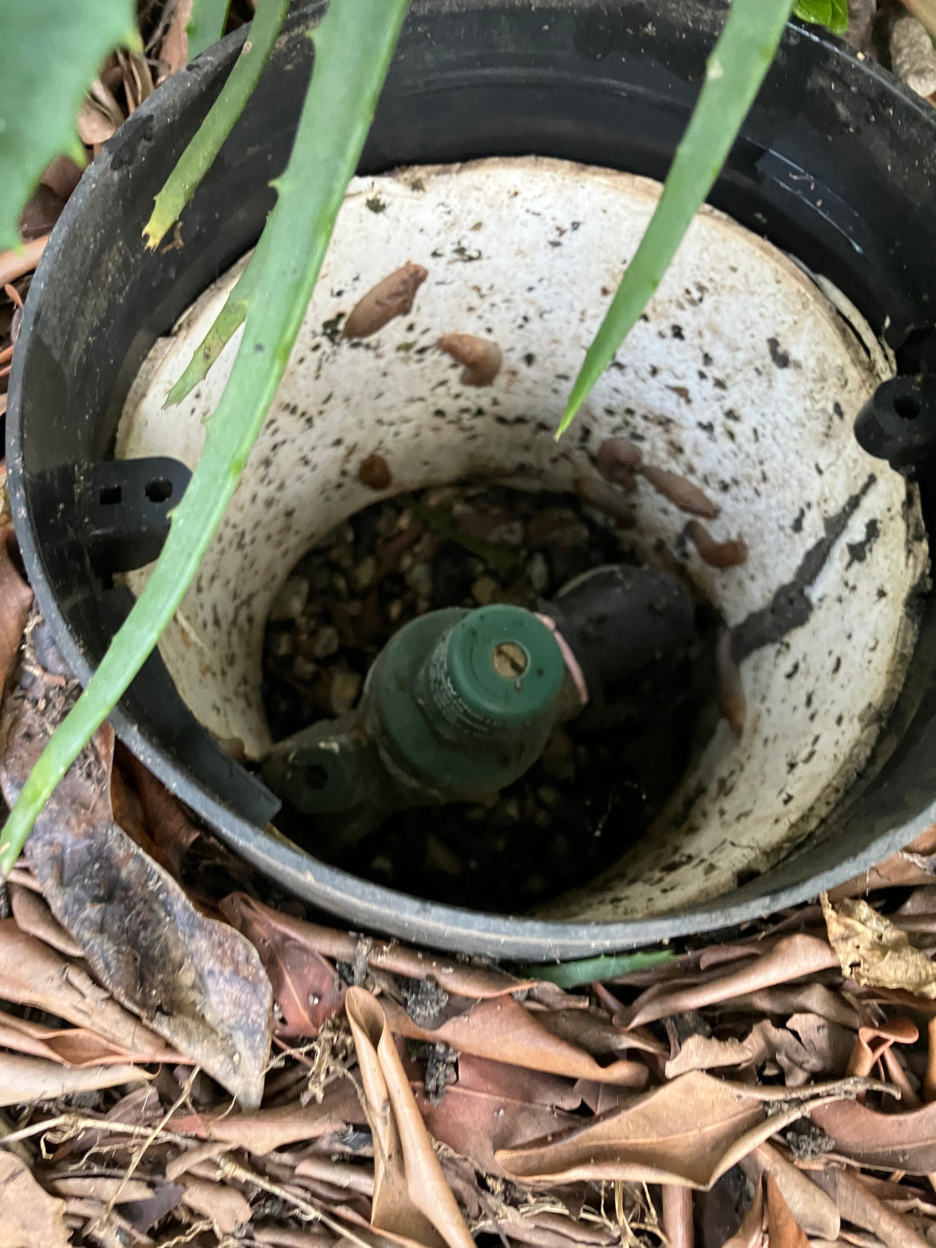 What is this garden tubing for? | Bunnings Workshop community