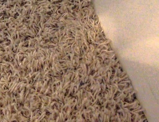 carpet1.jpg