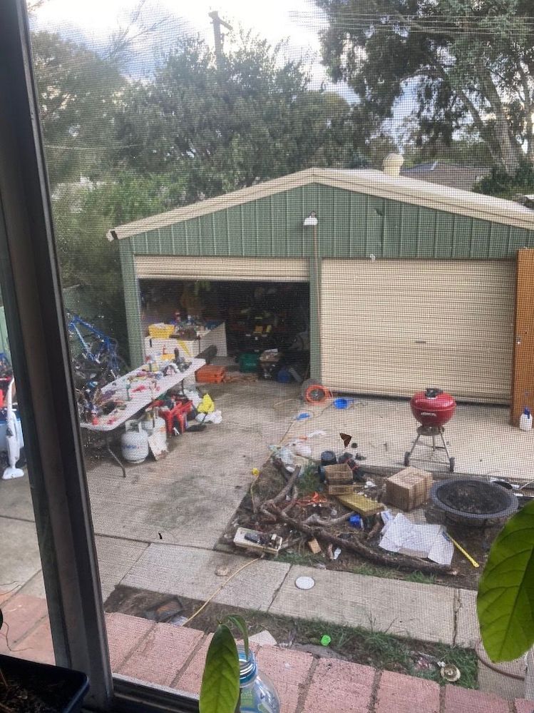 looking out the kitchen window