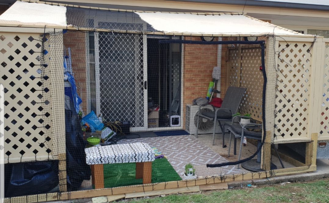 Outdoor cat enclosure store bunnings