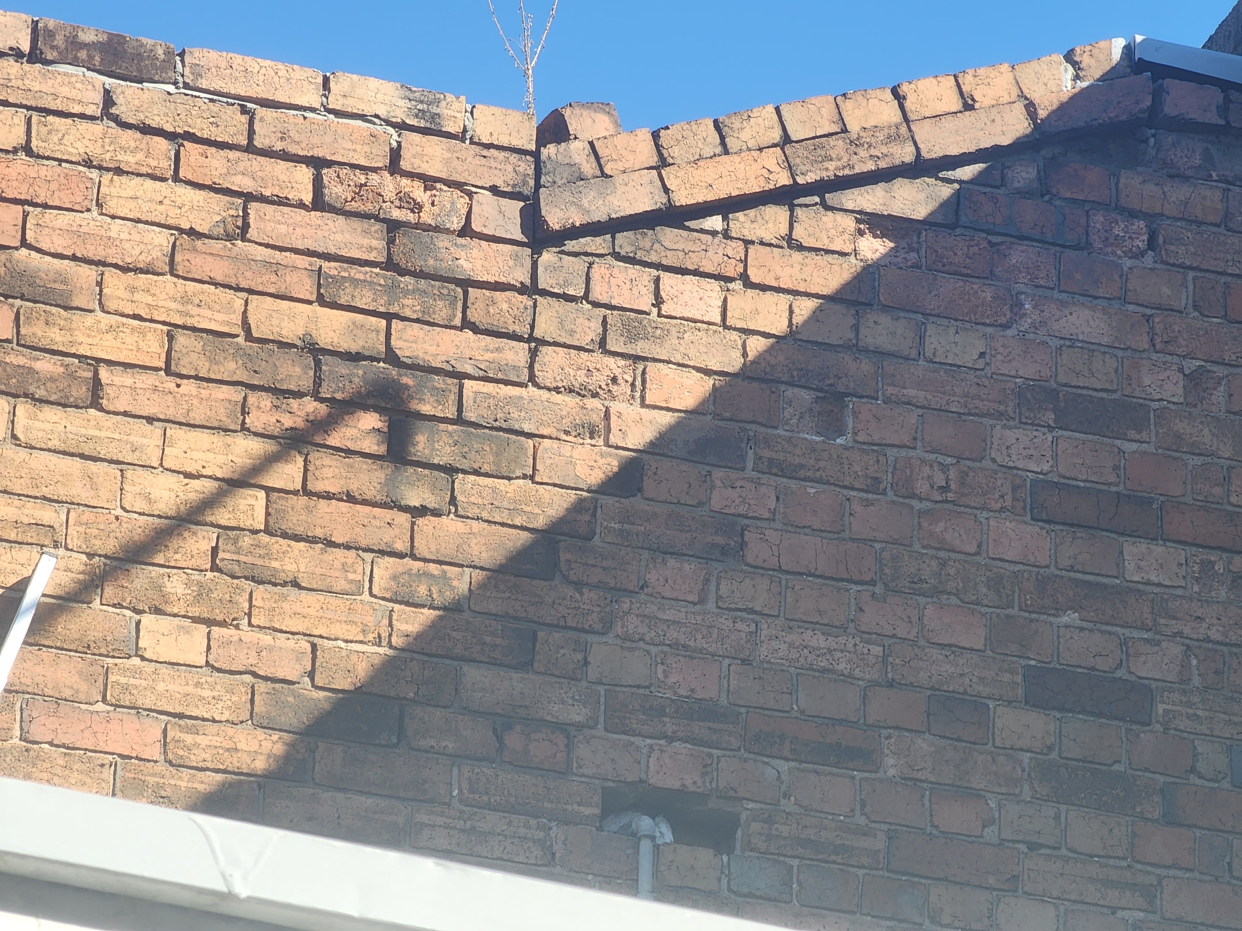 How to seal up old brick wall of double ... | Bunnings Workshop community