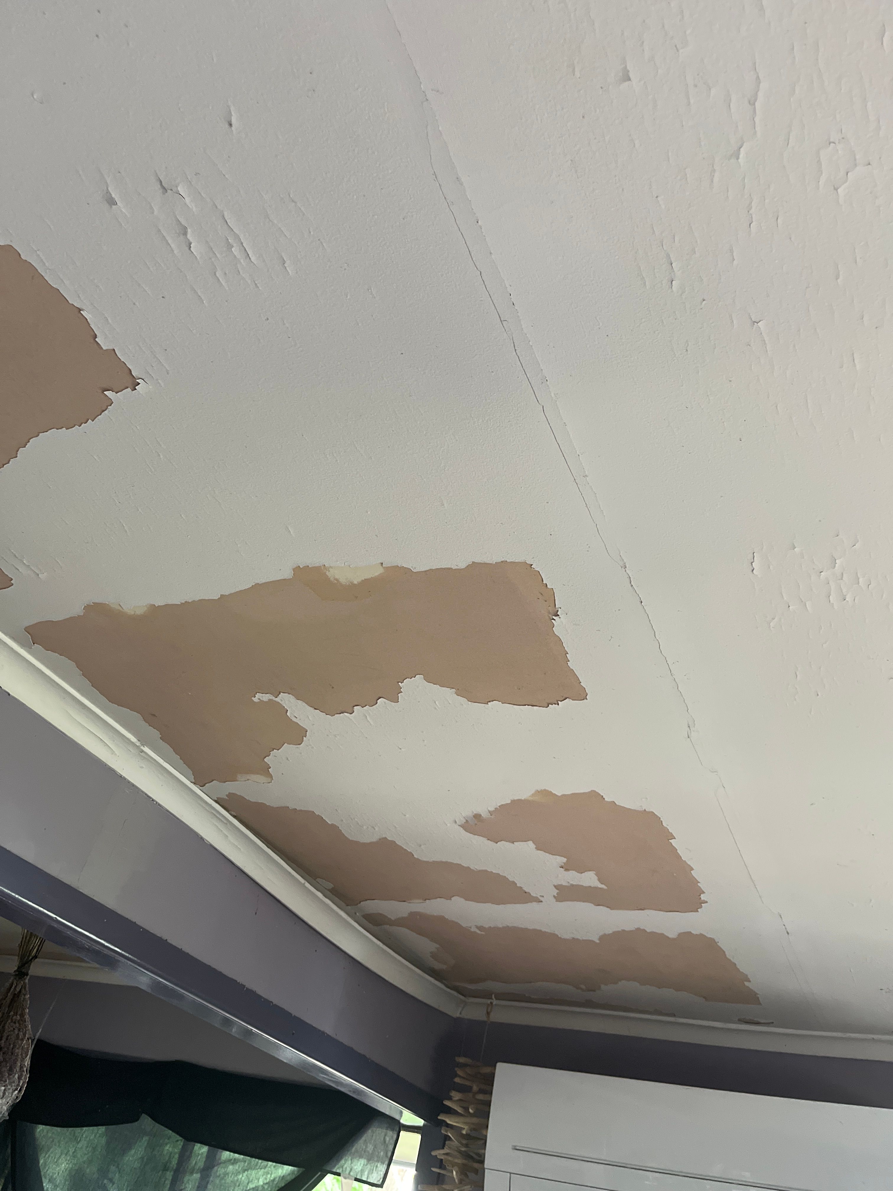 Peeling paint from ceiling | Bunnings Workshop community