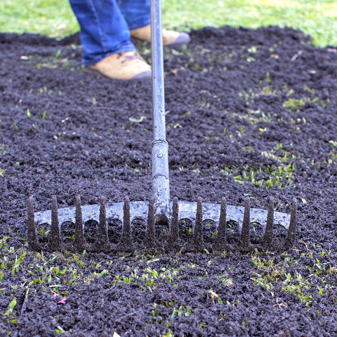 How to dethatch your lawn | Bunnings Workshop community