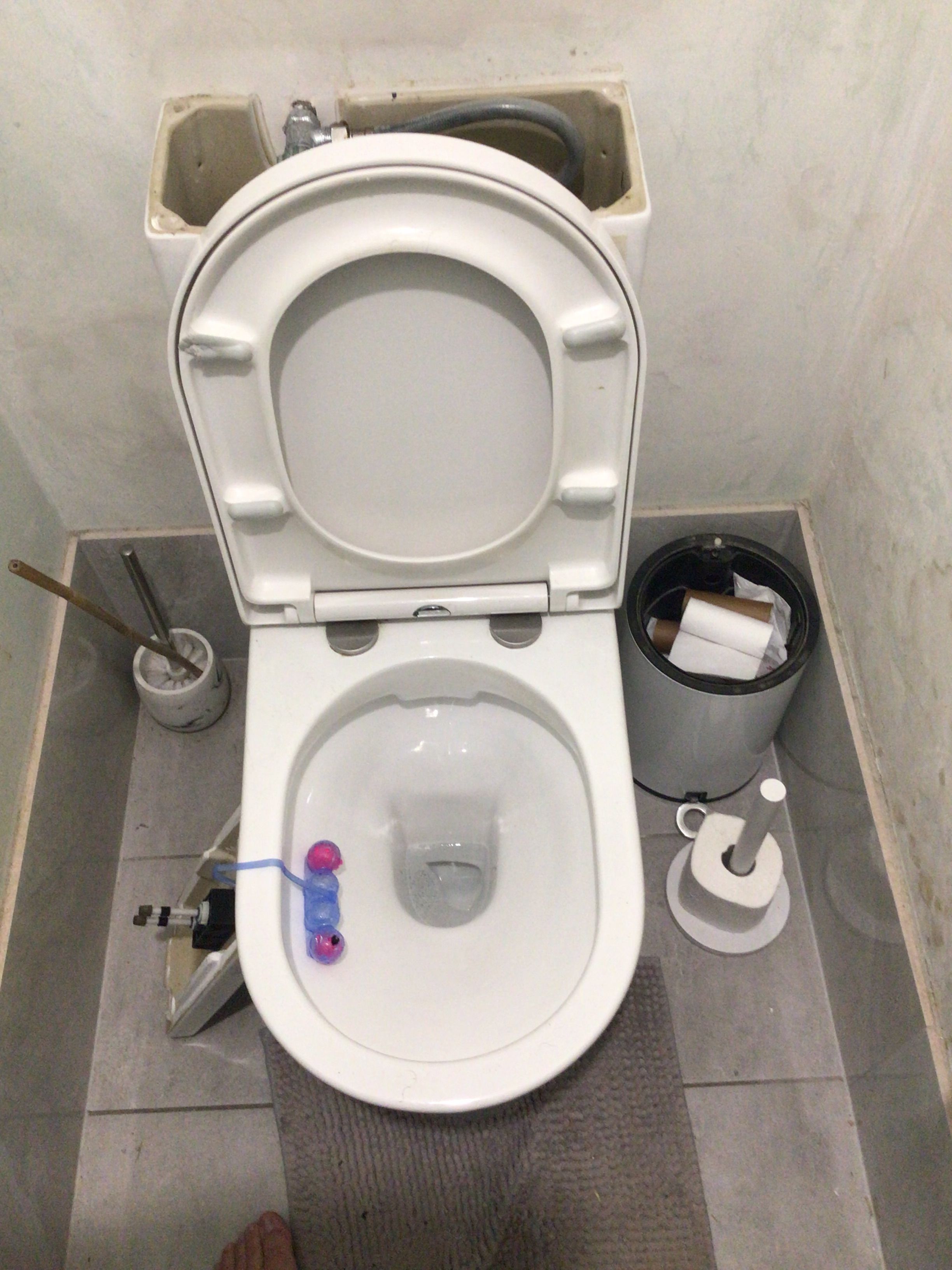 Would Evekare smart bidet toilet seat wi... | Bunnings Workshop community