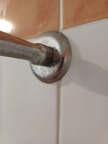 Shower Arm 02.jpg