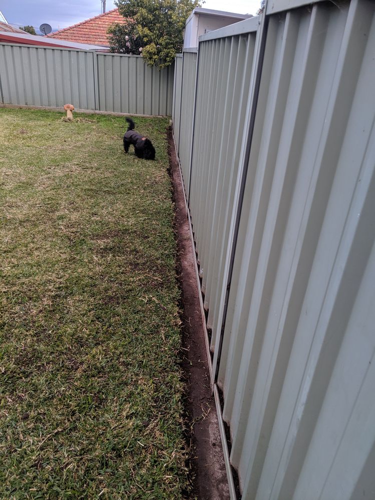 Stop dog from going under clearance fence