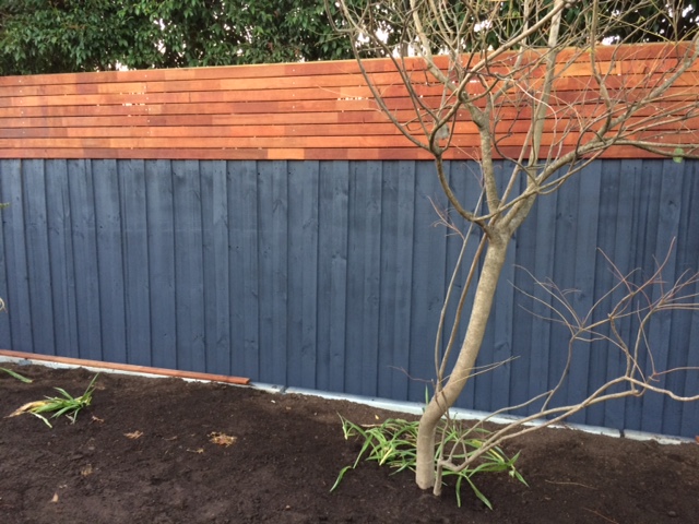 Backyard fence makeover - Page 3 | Bunnings Workshop community