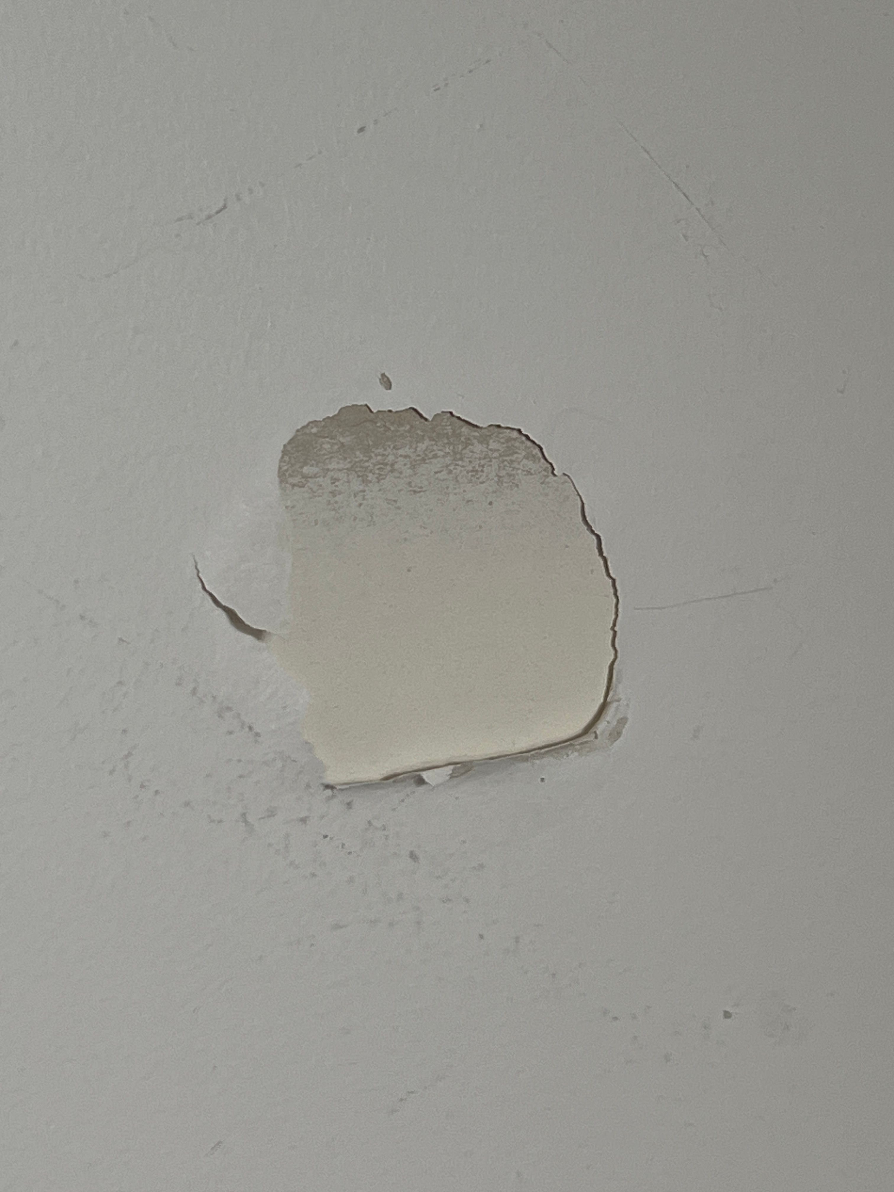 How to fill this paint patch in wall? | Bunnings Workshop community