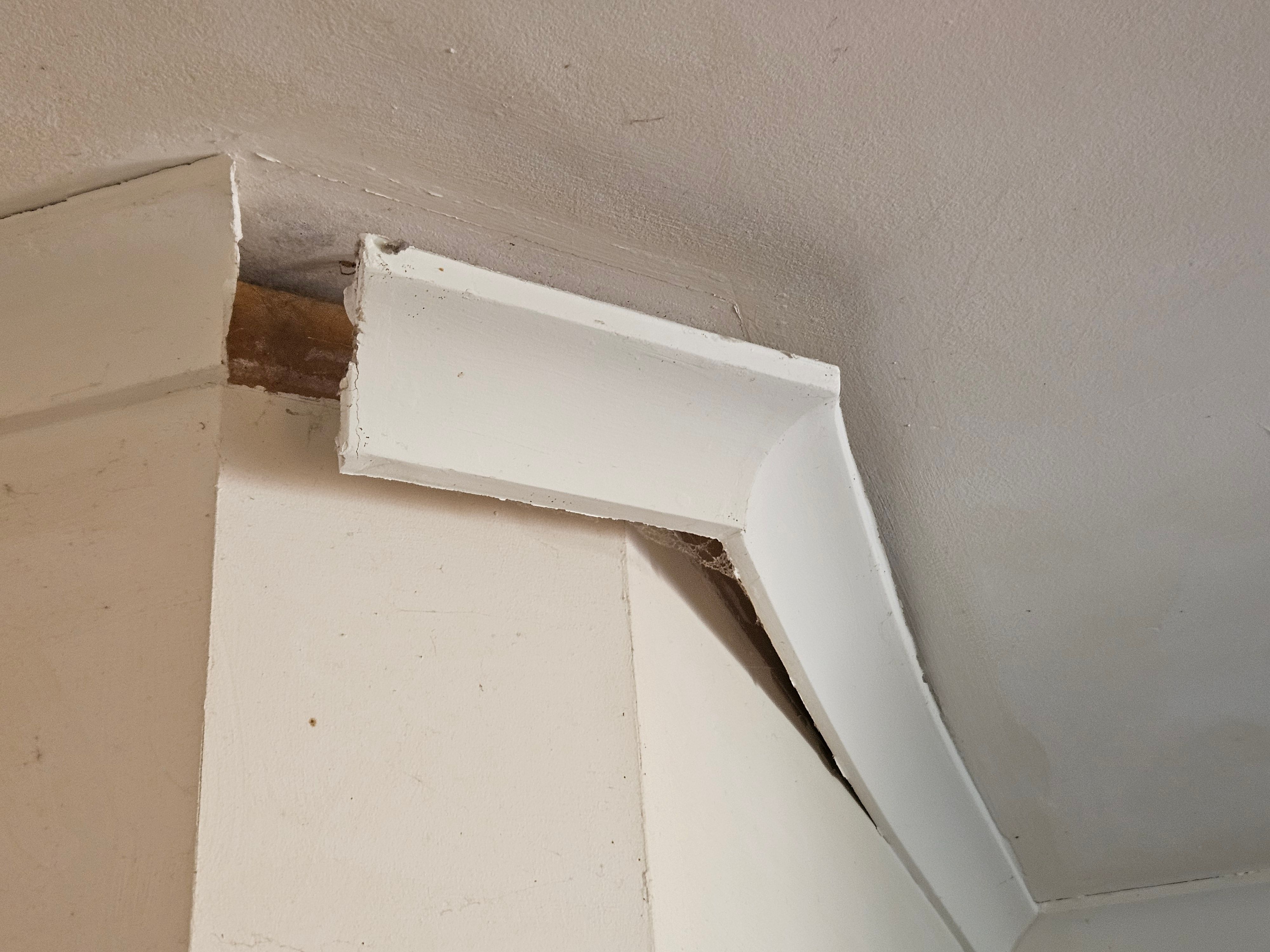 Solved: How to replace fascia and cornice? | Bunnings Workshop community