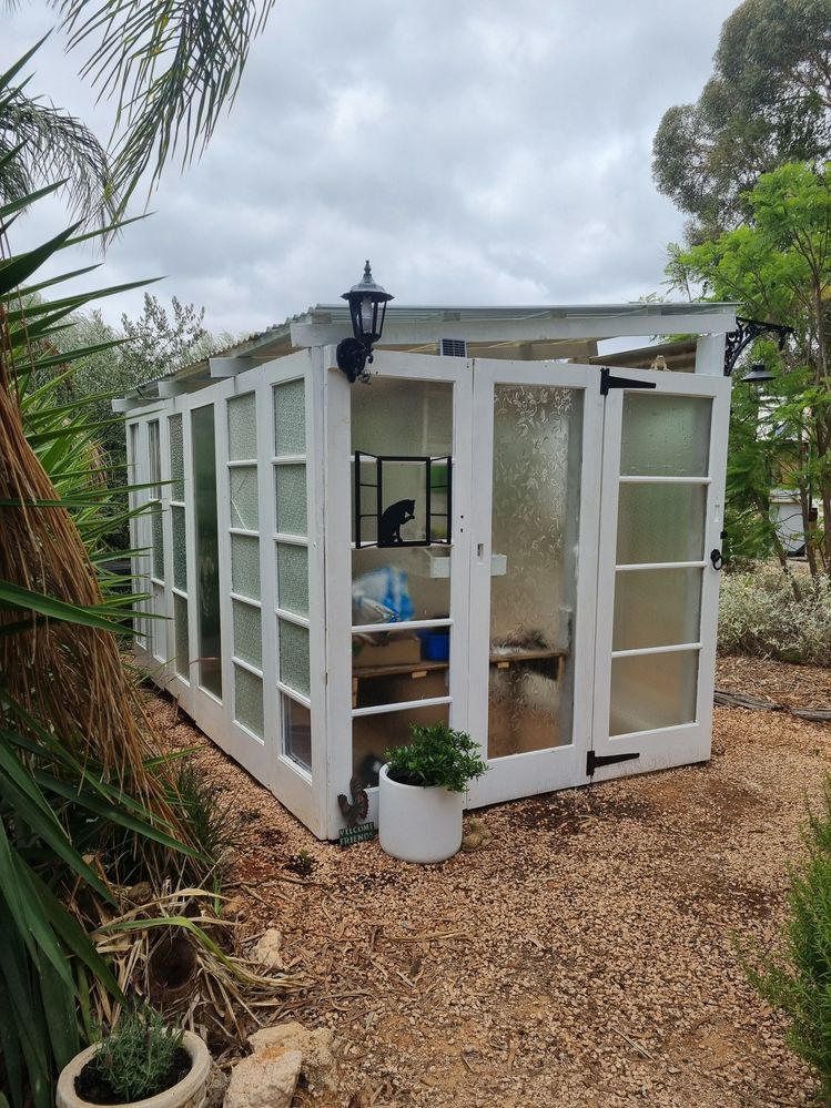 Glass house/ potting shed