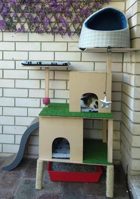 Our only project, diy cat house.for.our kittens